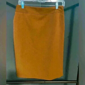 Evan Picone Women’s brown Pencil Dress skirt knee length size 6p
